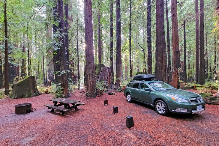 Burlington Campground, Humboldt Redwoods State Park