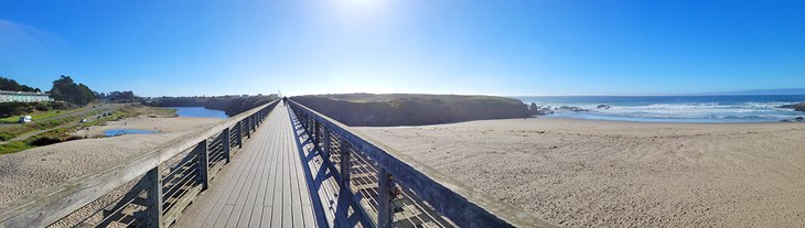 Coastal Trail spanning Pudding Creek Beach