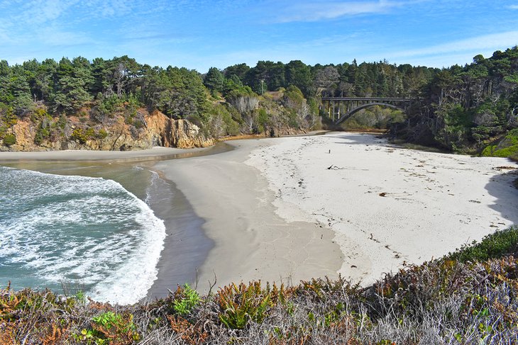 Jug Handle State Natural Reserve