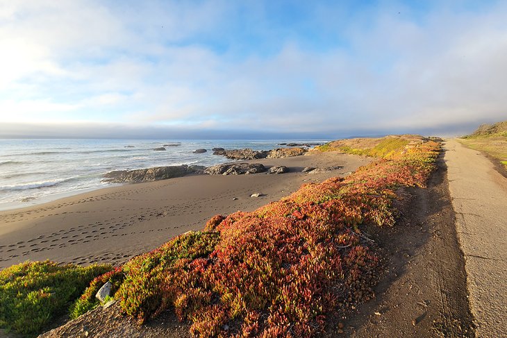 MacKerricher State Park Main Beach