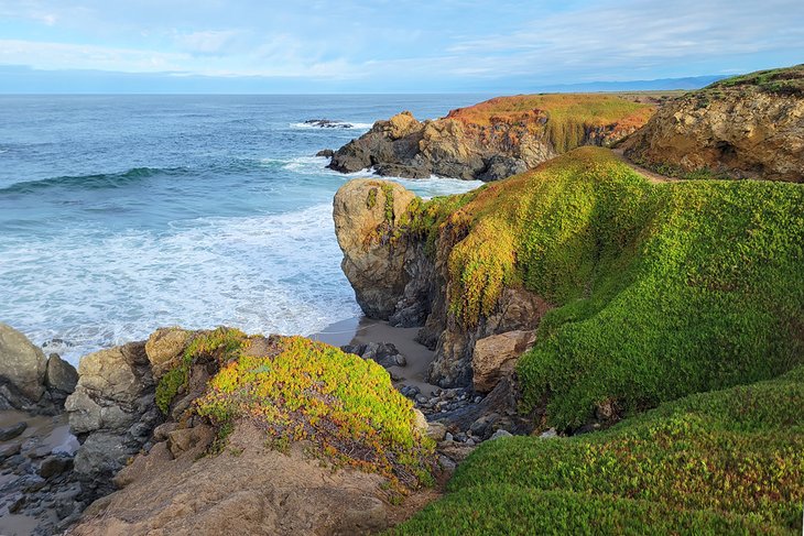 Noyo Headlands Park