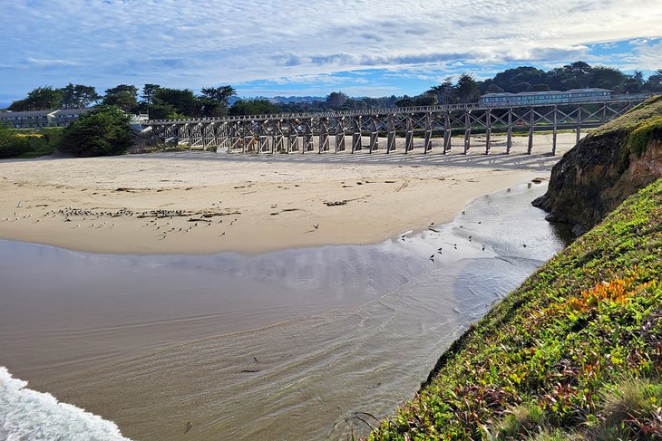 Pudding Creek Beach