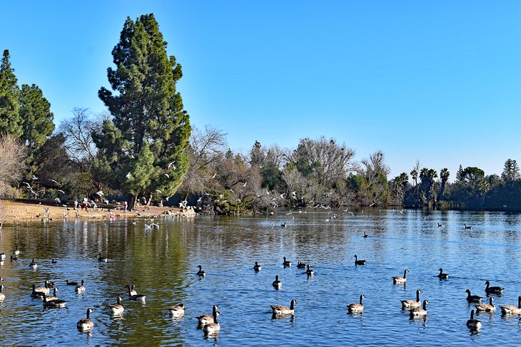 Woodward Regional Park