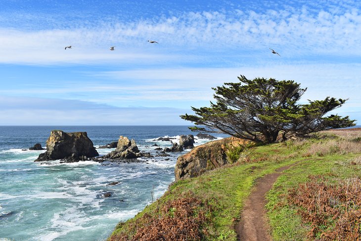 Ocean scene at Jug Handle State Natural Reserve