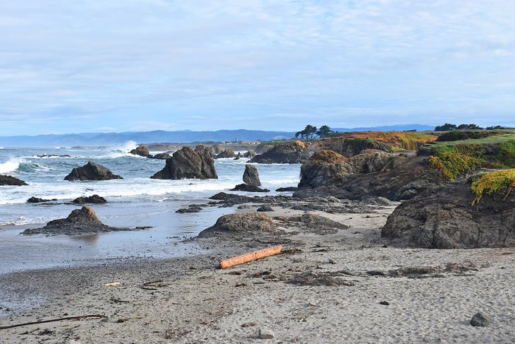 Noyo Headlands Park