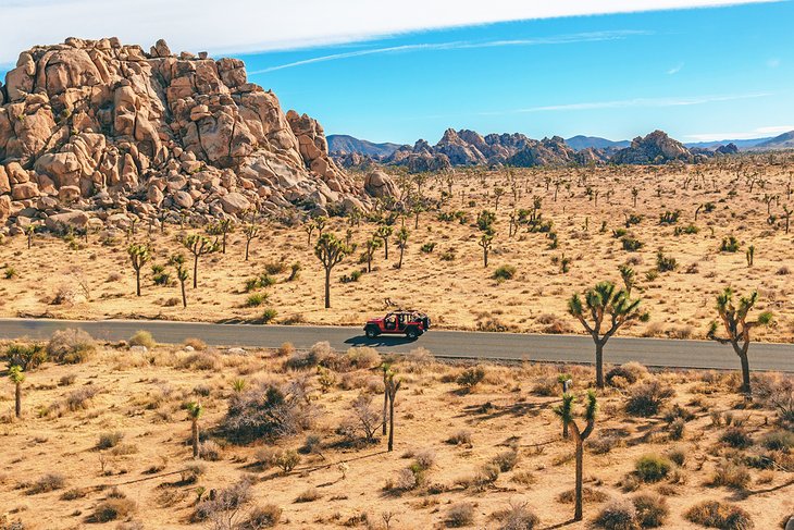 Jeep tour driving through Joshua Tree National Park