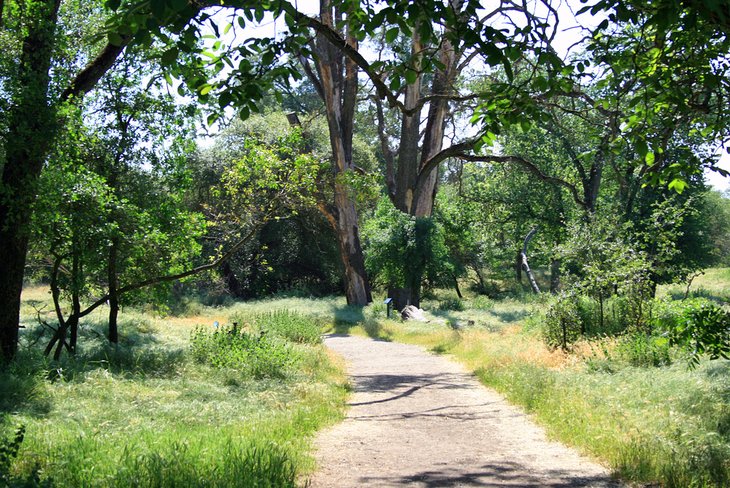 Effie Yeaw Nature Center, Ancil Hoffman Park