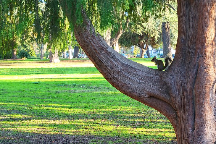 10 mejores parques en Sacramento