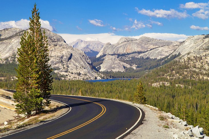 Tioga Road, Yosemite National Park