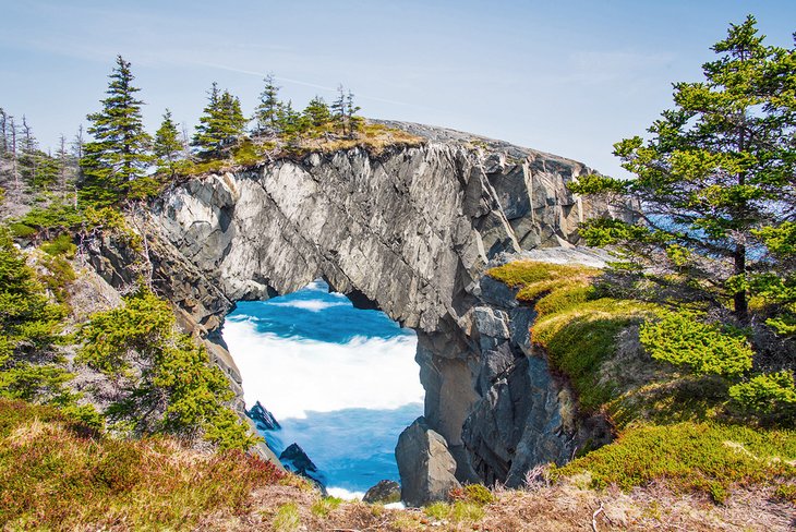 Berry Head Arch on the East Coast Trail