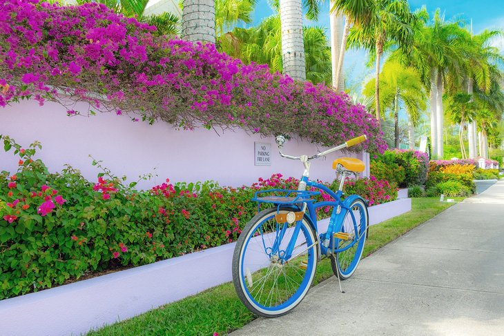 Bike on Grand Cayman