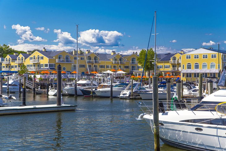 Source photo : Saybrook Point Resort &  Marina