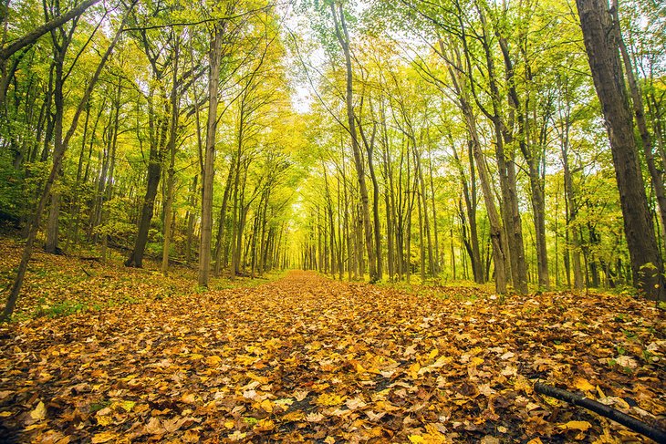 Sleeping Giant State Park