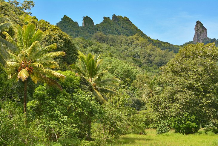Paysage tropical luxuriant de Rarotonga avec le mont Te Manga au loin