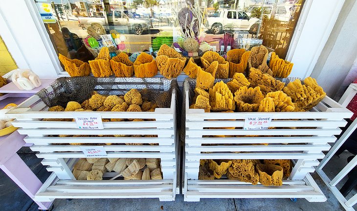 Sponges for sale in Tarpon Springs