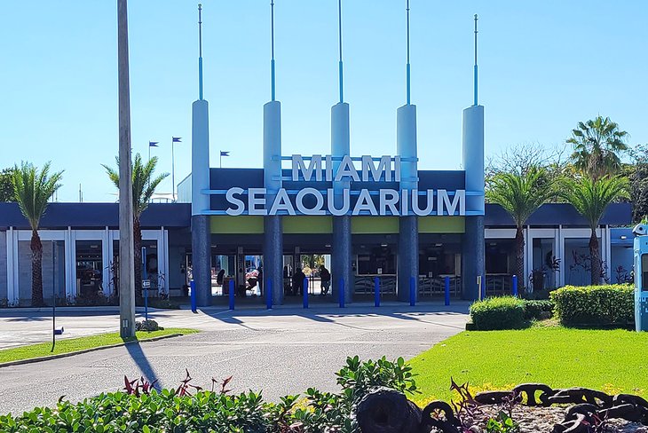 Aquarium de Miami