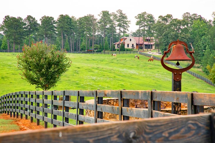 Horse ranch in Macon, Georgia