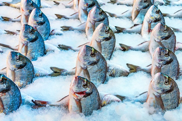 Fish for sale at Varvakios Agora market