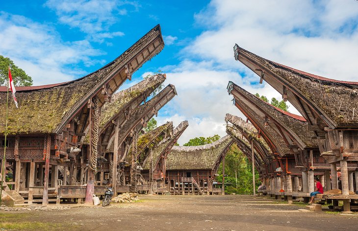 Traditional houses in Tana Toraja, Sulawesi