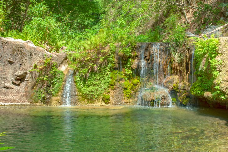 Cane River Falls