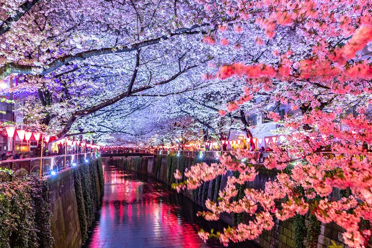 Japón en imágenes: 20 hermosos lugares para fotografiar