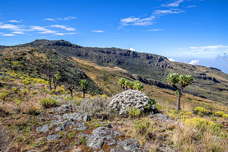 Mount Elgon