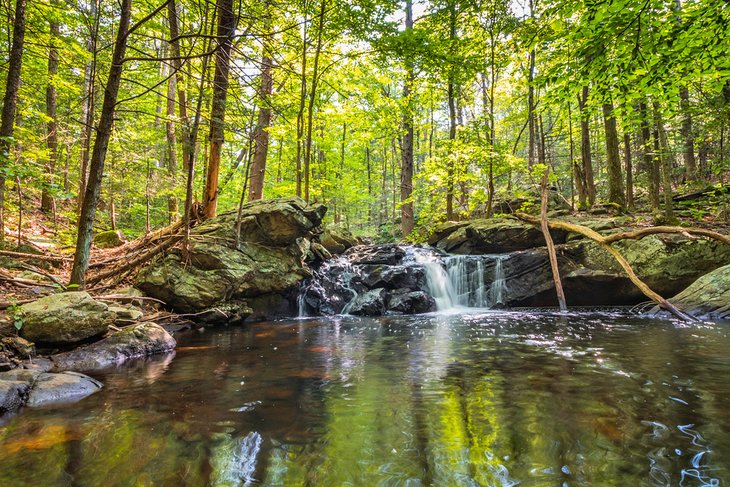 Apshawa Falls