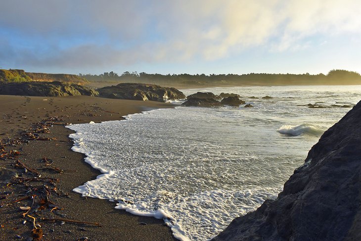 MacKerricher State Park