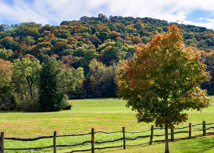 Couleurs d'automne dans les Laurel Highlands de Pennsylvanie