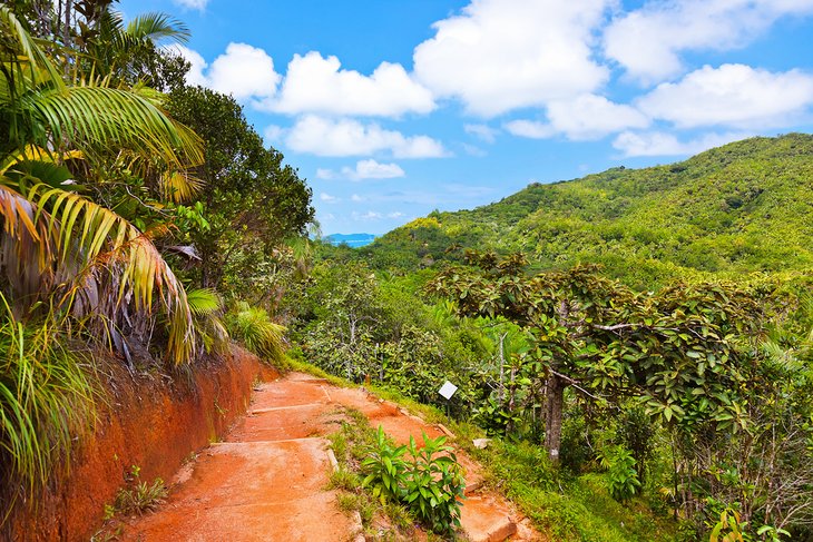 Vallee de Mai