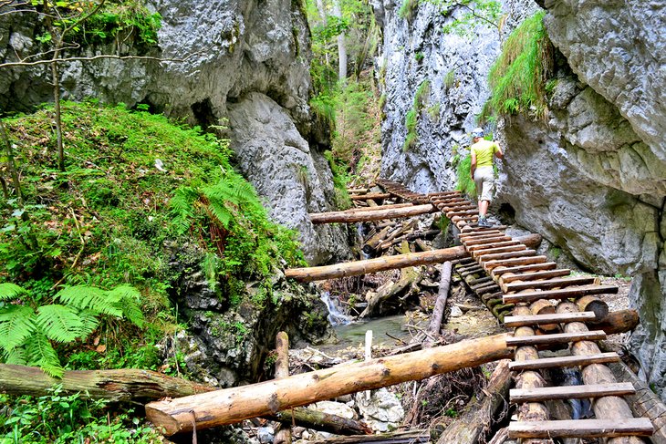 Woman standing on a wooden path through a rocky canyon in Slovak Karst