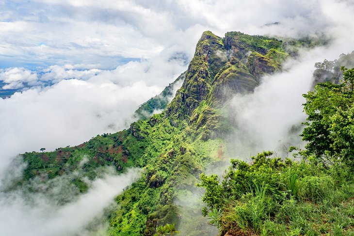 The Usambara Mountains