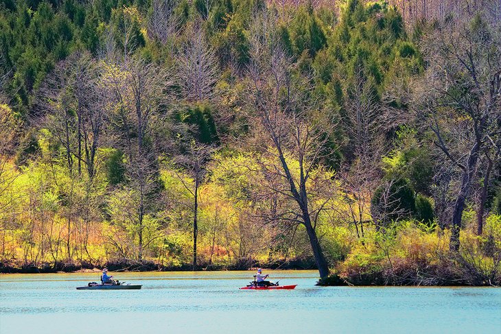 Kayakistes sur la rivière Cumberland près de Cheatham Lake Beach
