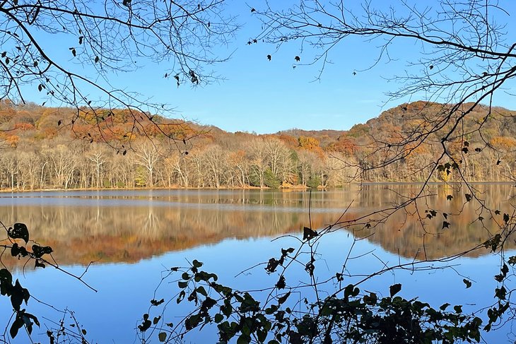 Radnor Lake