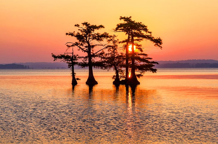 Reelfoot Lake at sunset