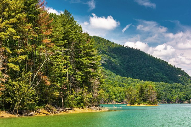 Watauga Lake,  Cherokee National Forest