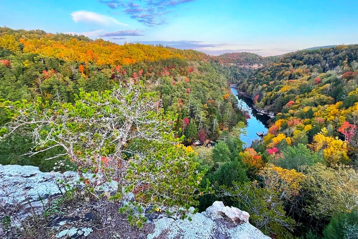 View from Lilly Bluff in Obed National Wild and Scenic River
