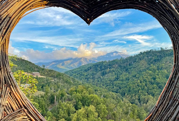 Heart in The Smokies at Anakeesta