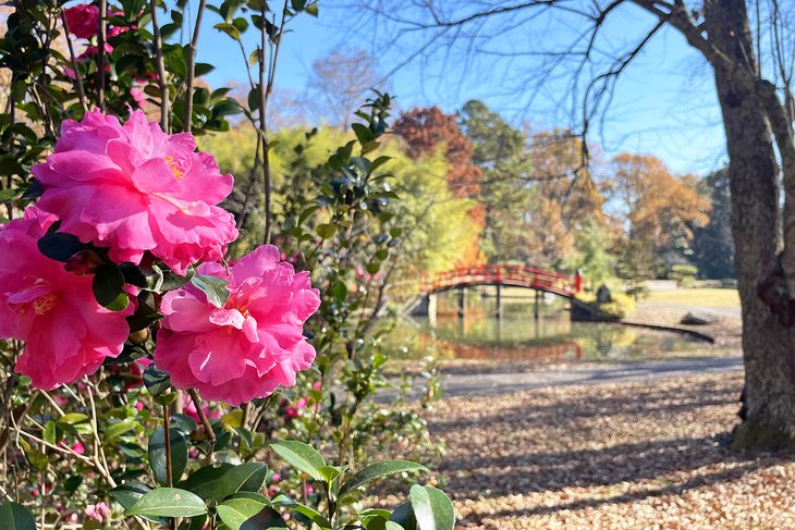 Memphis Botanic Garden