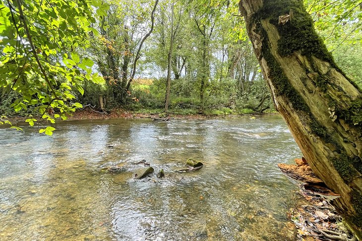 Nolichucky River at David Crockett Birthplace State Park