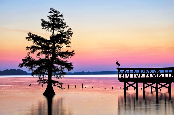 Reelfoot Lake State Park at dawn