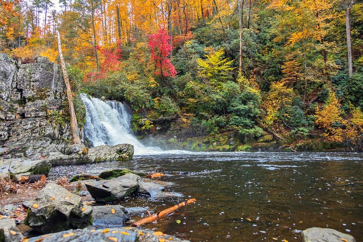 Abrams Falls surrounded by fall colors