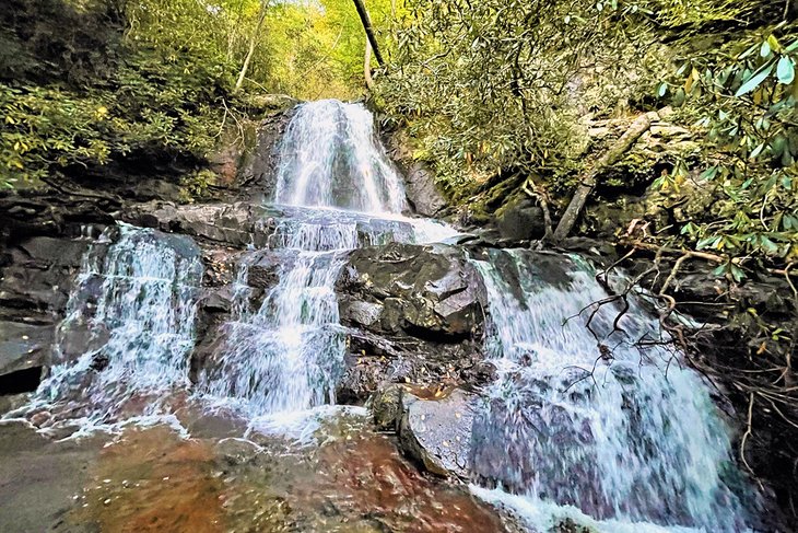 14 mejores cascadas en Tennessee