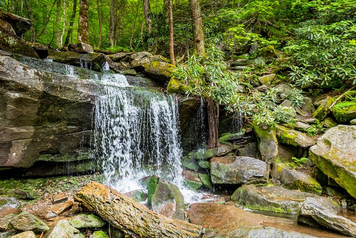 Rainbow Falls, Great Smoky Mountains National Park