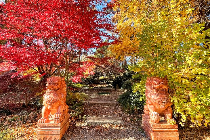 Memphis Botanic Garden