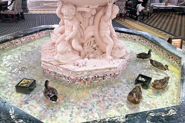 Peabody ducks