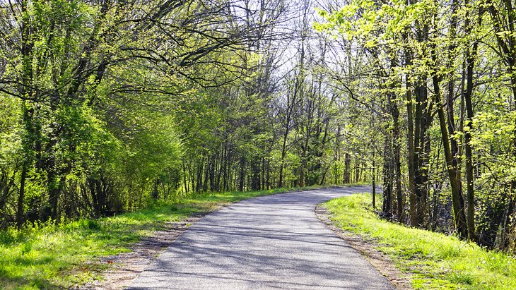 Trail in Shelby Farms Park