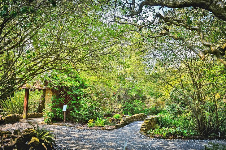 Durham University Botanic Garden