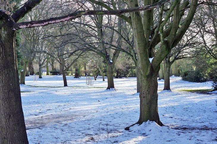 East Park in winter