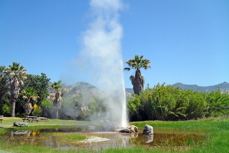 Old Faithful Geyser in Calistoga, CA